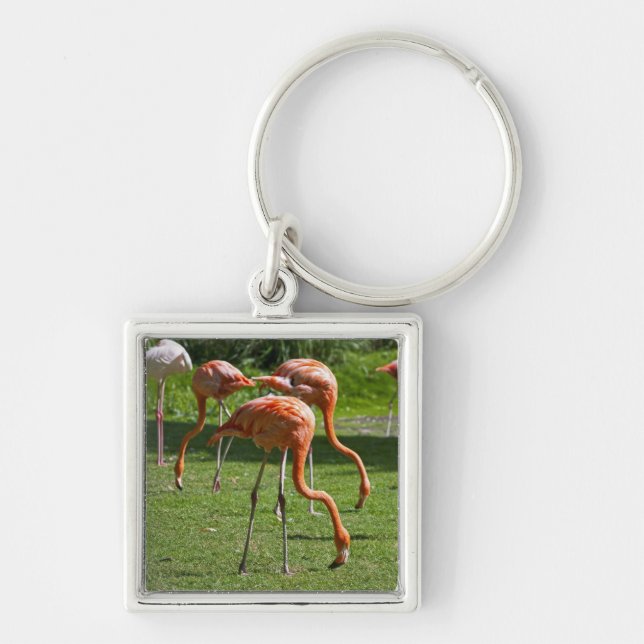 Flamingos Key Ring (Front)