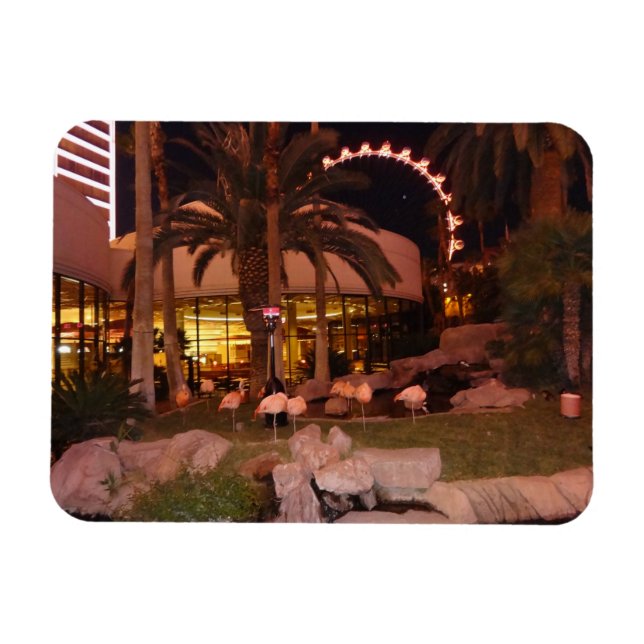 Flamingos, Las Vegas Photo Magnet (Horizontal)
