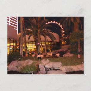 Flamingos, Las Vegas Postcard