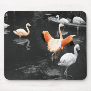 Flamingos Mouse Mat