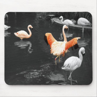 Flamingos Mouse Mat