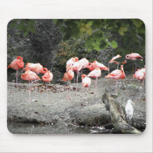 flamingos mouse mat