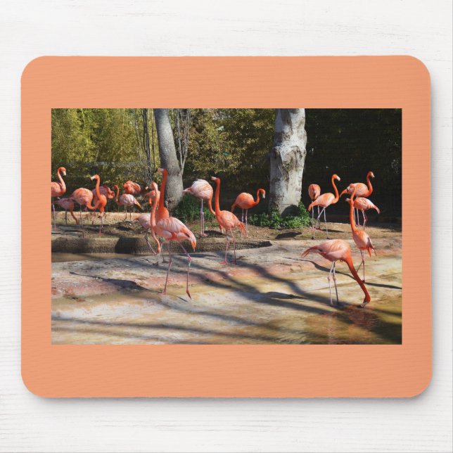 Flamingos Mouse Mat (Front)
