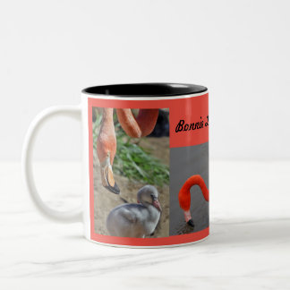 Flamingos Mug