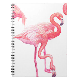 Flamingos Notebook