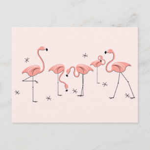 Flamingos Pink Group postcard