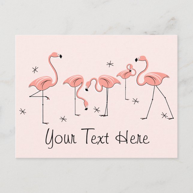 Flamingos Pink group text postcard (Front)
