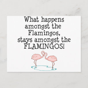Flamingos Postcard