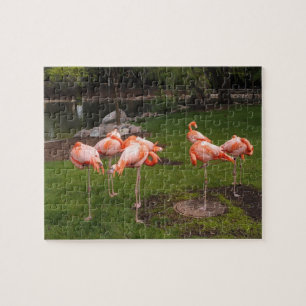Flamingos Puzzle