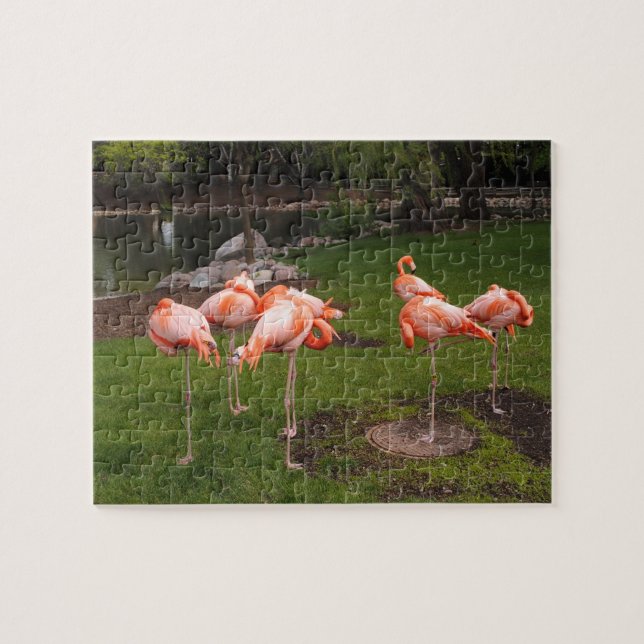 Flamingos Puzzle (Horizontal)