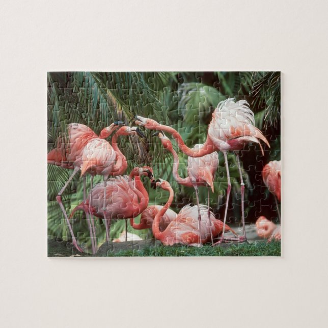 Flamingos Puzzle (Horizontal)