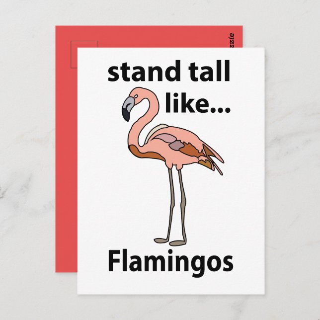 Flamingos Stand Tall Like Flamingos Flamingo Postcard (Front/Back)