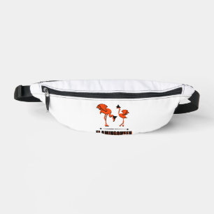 Flamingoween - Halloween Bum Bags