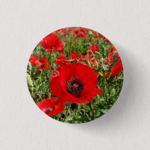 Flanders Poppy Button