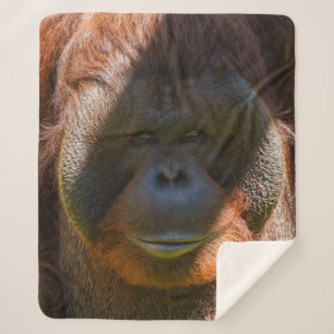 Flanged male orangutan close-up sherpa blanket