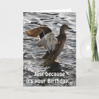 Flapping Mallard Duck Funny Birthday Card