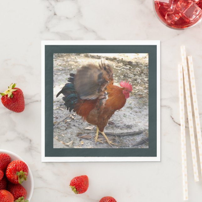Flapping Rooster Napkins (Insitu)