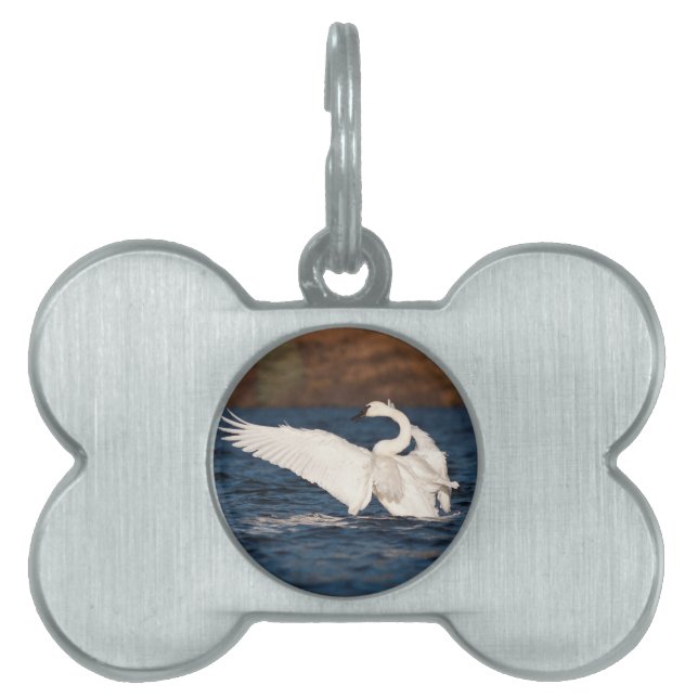 Flapping Swan Pet ID Tag (Front)
