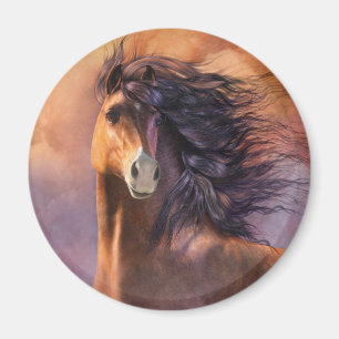 Flash Magnet
