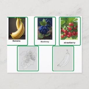flashcards of  fruit kids and adult postcard