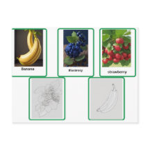 flashcards of  fruit kids and adult