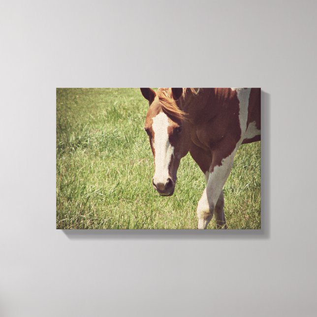 Flashy Canvas Print (Front)