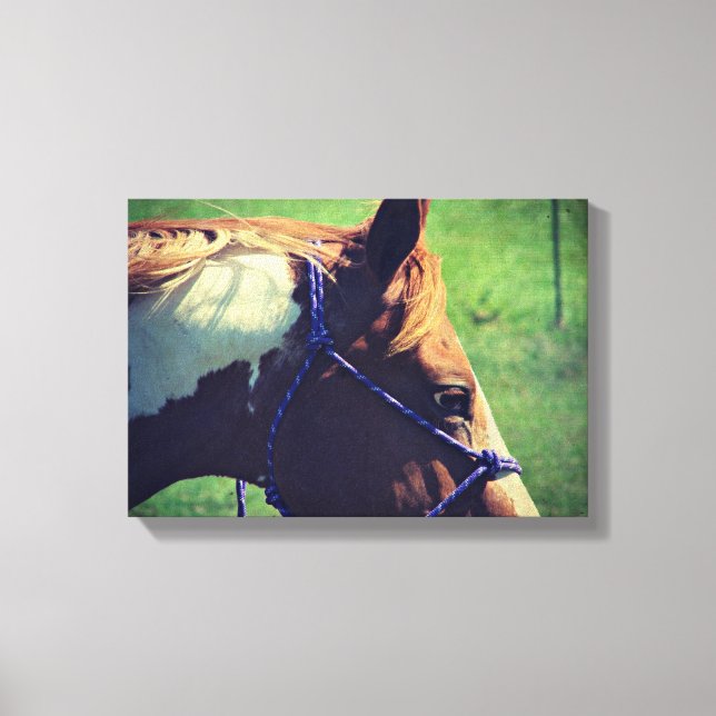 Flashy Canvas Print (Front)