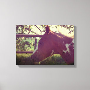 Flashy Grunge Canvas Print