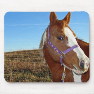 Flashy in Nebraka Mouse Mat