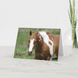 Flashy in the Springtime Card