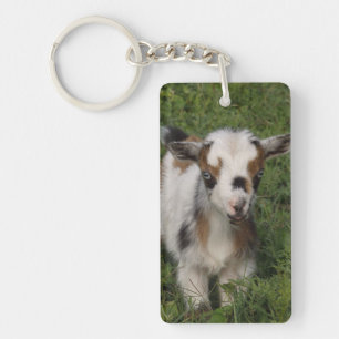 Flashy Nigerian Dwarf Dairy Goat Kid Key Ring
