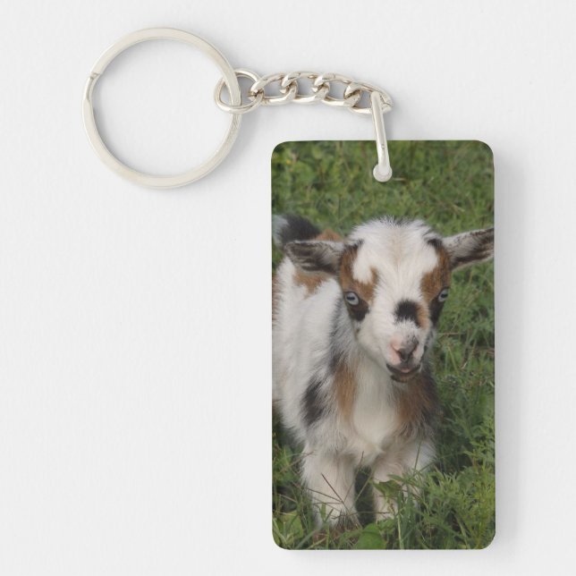 Flashy Nigerian Dwarf Dairy Goat Kid Key Ring (Front)