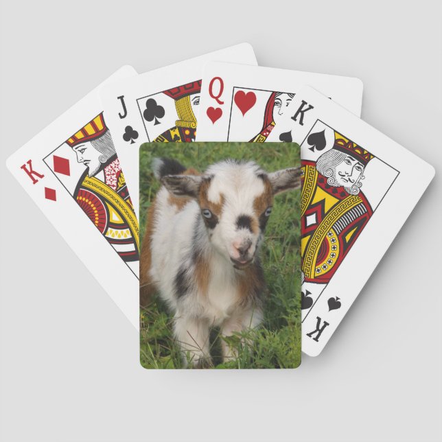 Flashy Nigerian Dwarf Dairy Goat Kid Playing Cards (Back)