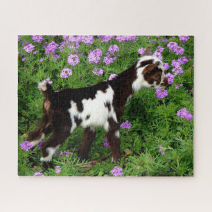 Flashy Nigerian Dwarf Goat Kid in purple flowers Jigsaw Puzzle