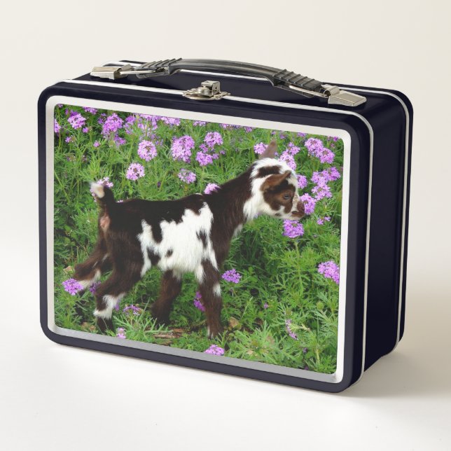 Flashy Nigerian Dwarf Goat Kid in purple flowers Metal Lunch Box (Front)