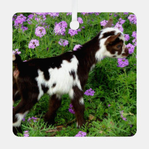 Flashy Nigerian Dwarf Goat Kid in purple flowers Metal Tree Decoration
