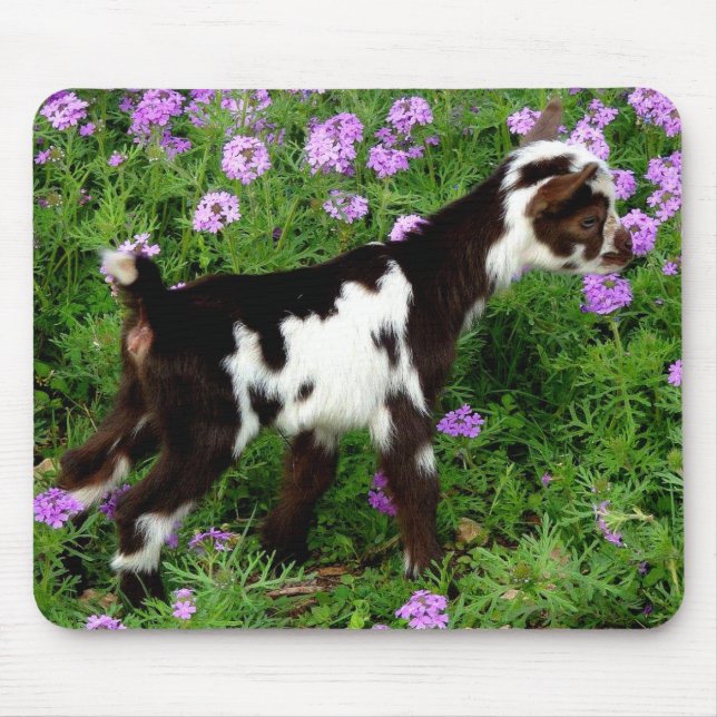 Flashy Nigerian Dwarf Goat Kid in purple flowers Mouse Mat (Front)