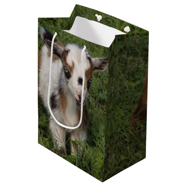 Flashy Nigerian Dwarf Goat Kid Medium Gift Bag (Front Angled)