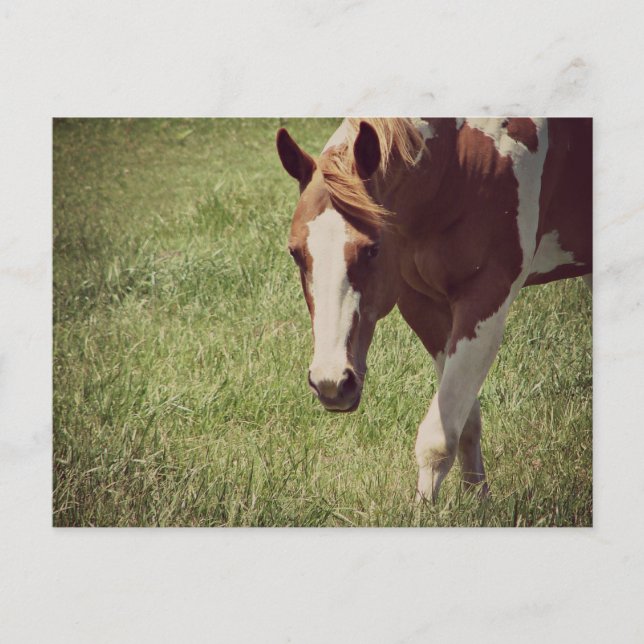 Flashy Postcard (Front)