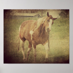 Flashy Shakes Head Poster