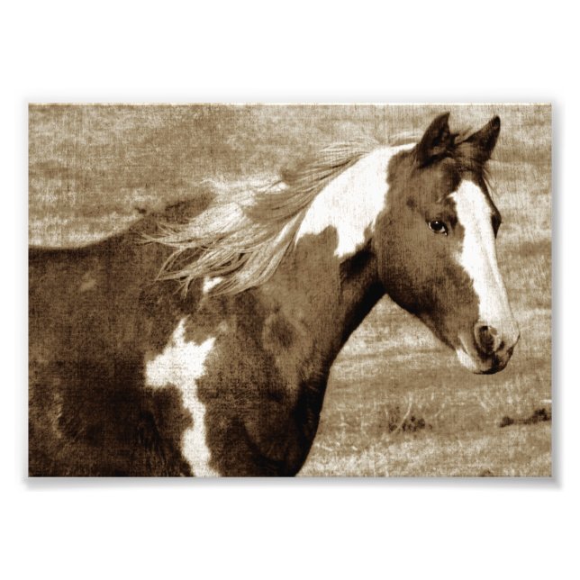Flashy Tobinano Mare Sepia Photo Print (Front)