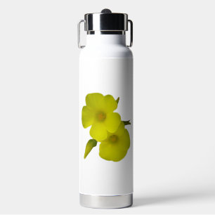 FLASK INSULATED THOR   ART&DESIGN  WATER BOTTLE