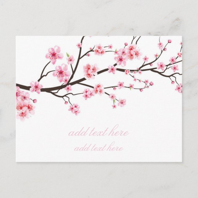 FLAT ANNOUNCEMENT POSTCARD : SAKURA BLOSSOMS (Front)