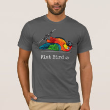 Flat Bird at 40 degrees, fun, colourful