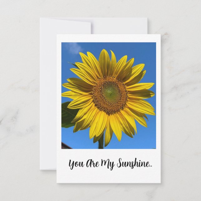 Flat Blank Card - You Are My Sunshine (Front)