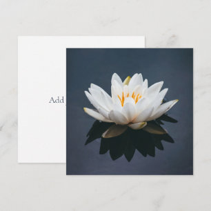 FLAT CARD :  LOTUS