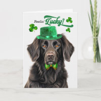 Flat Coat Retriever Dog Lucky St Patrick's Day
