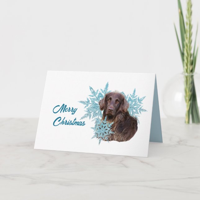 Flat Coat Retriever in the Snowflakes  Holiday Card (Front)