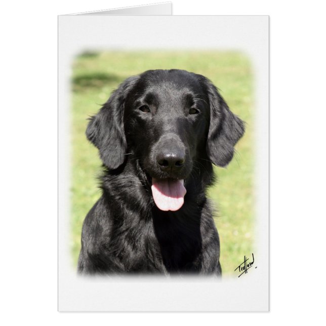 Flat Coated Retriever 9Y040D-040 (Front)