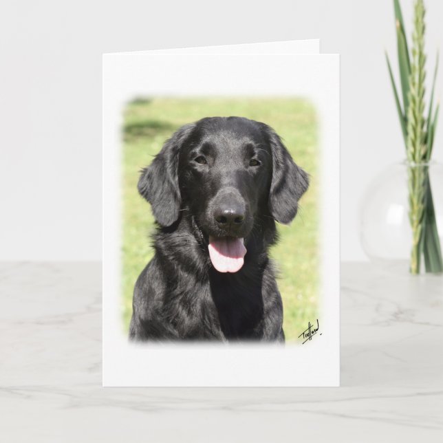 Flat Coated Retriever 9Y040D-040 Card (Front)